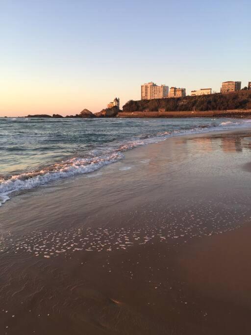 Appartement Cote Des Basques بياريتز المظهر الخارجي الصورة